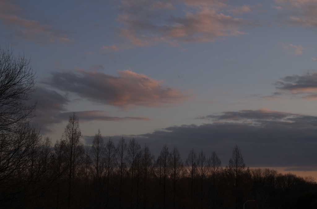 夕景