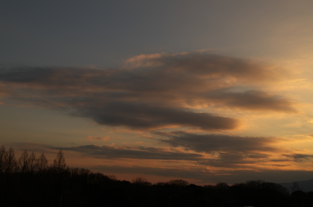 夕景