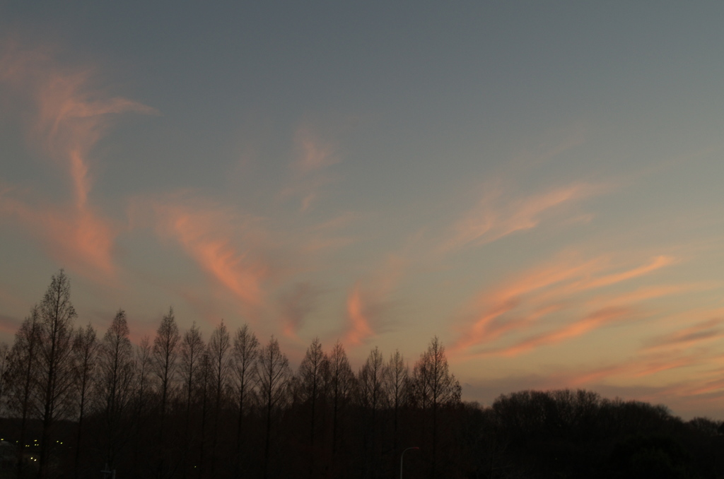 夕景