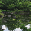 池