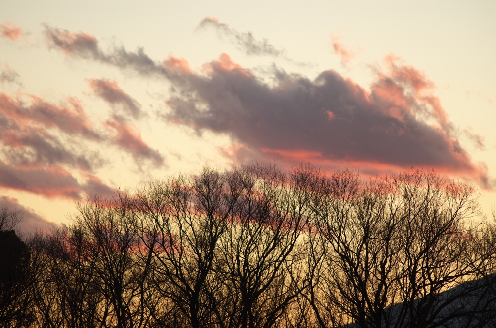 夕景