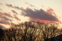 夕景