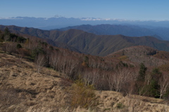 晩秋の高原