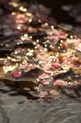 水面の輝き