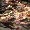 水面の輝き