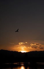 夕景