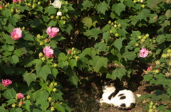 ひと休み