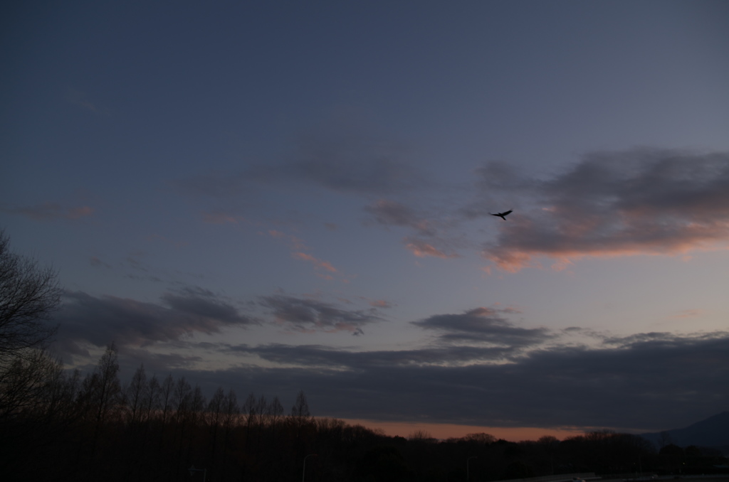 夕景