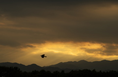 秋の夕暮れ