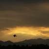 秋の夕暮れ
