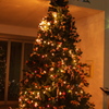 クリスマスツリー