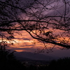 夕暮れ