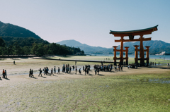 宮島2015 