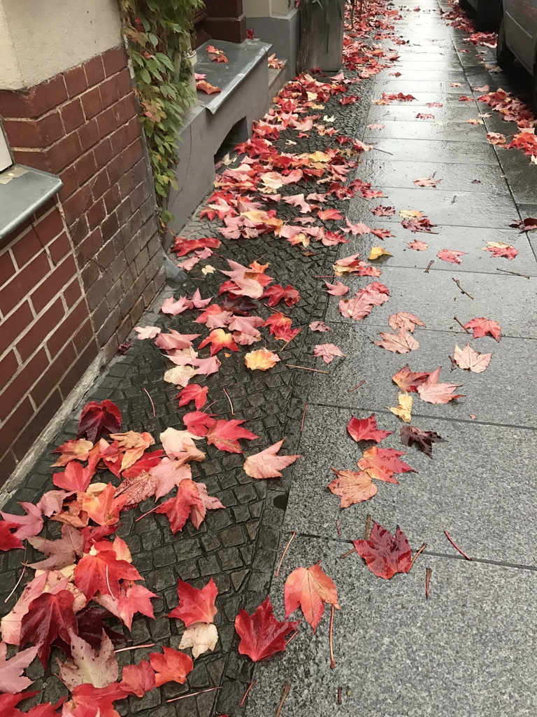 秋の足跡