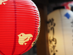 先斗町の提灯