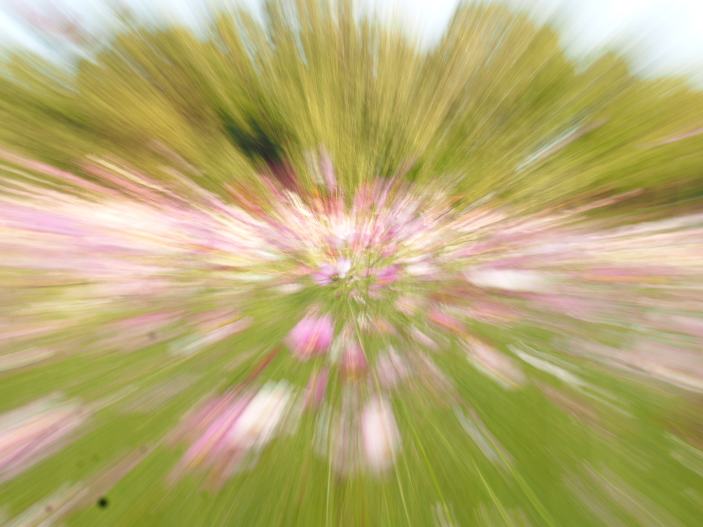 お遊び写真