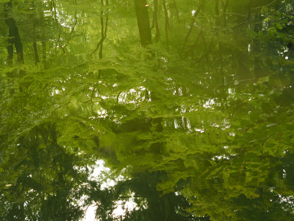 水鏡