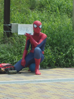 お散歩中の１枚