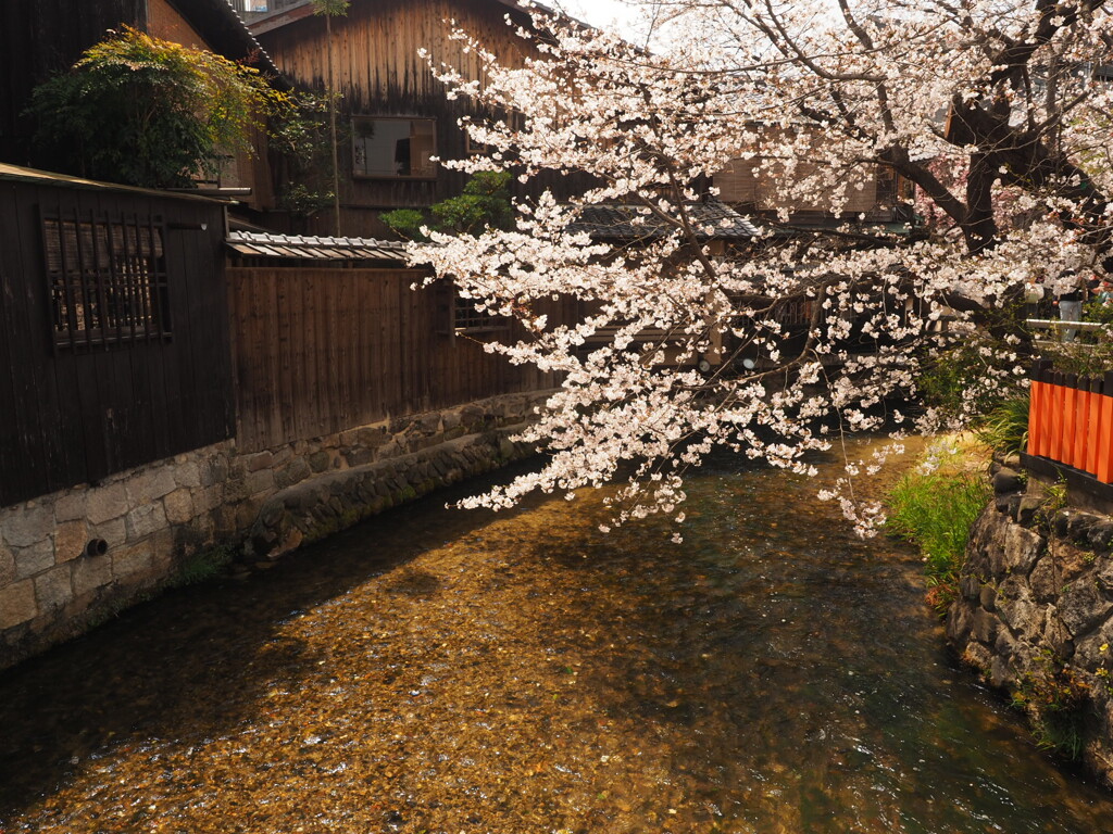 祇園白川