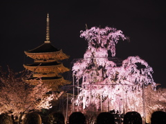 東寺のライトアップ