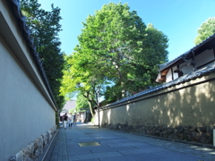 P7261705