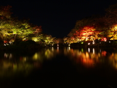 東寺の夜間拝観