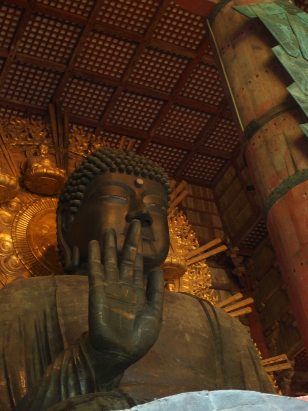 ども大仏です。