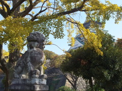 お散歩中の1枚