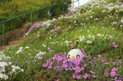 お遊び写真