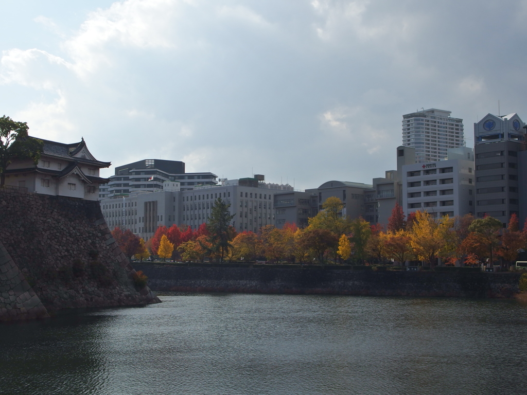 大阪城のお堀