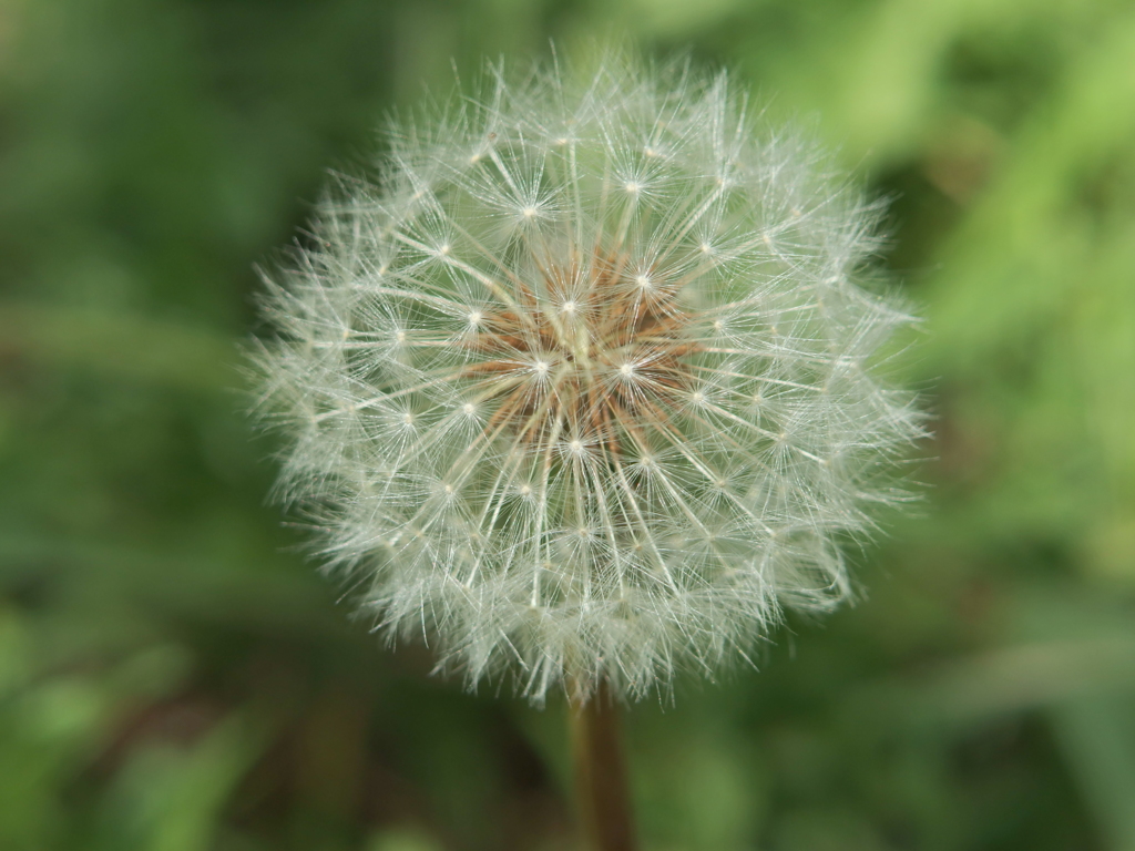 P5050943