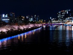 夜のお写ん歩