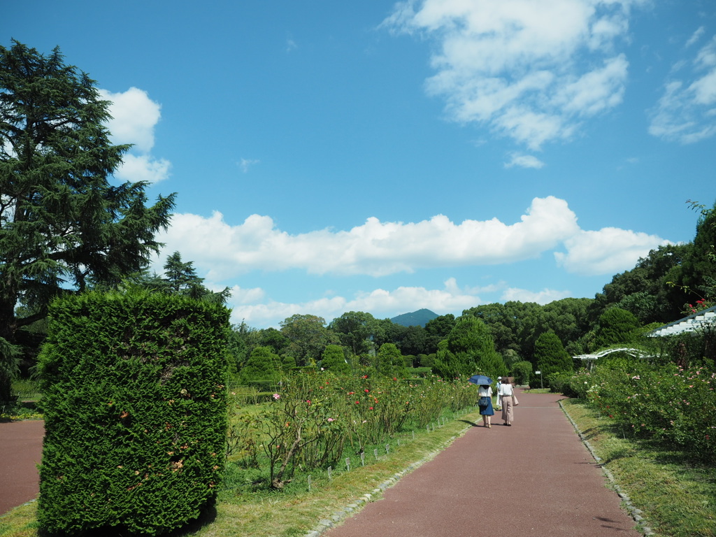 遠くに見える山は比叡山