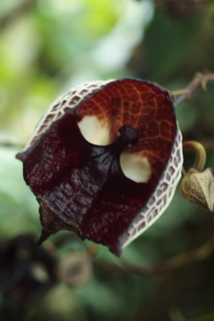 P1113933