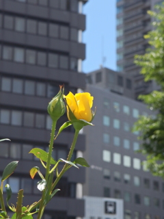 お写ん歩中の１枚