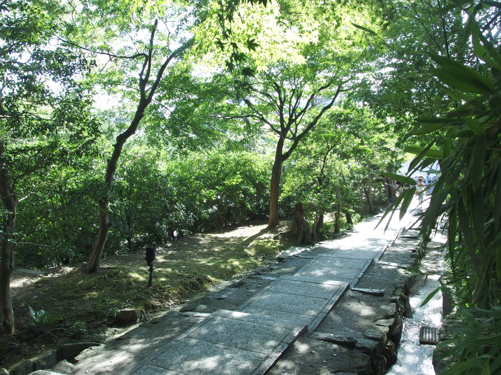 P7261702