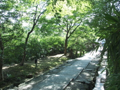 P7261702