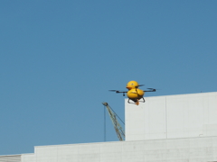空飛ぶアヒルさん