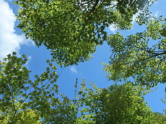P8231787