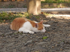 P9232332