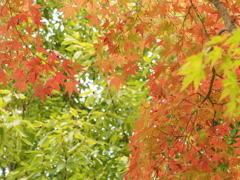 お写ん歩 お写ん歩