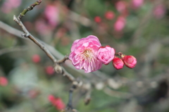 P1314001