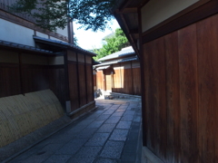 P7261686