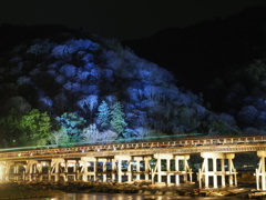 嵐山花灯路