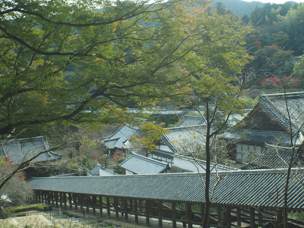 長谷寺