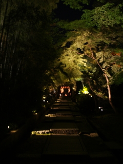 高台寺の階段