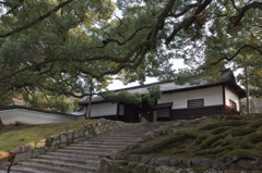 P1023836