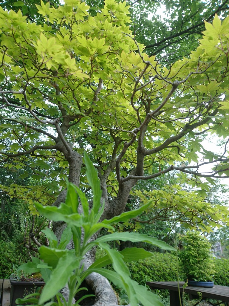 お散歩中の１枚