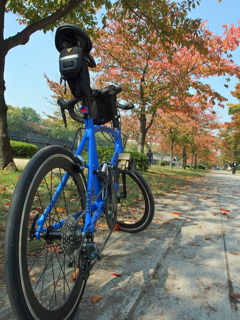 サイクリング日和