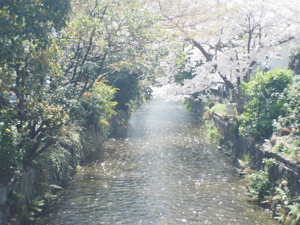 お写ん歩